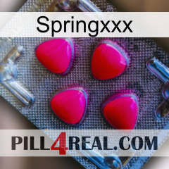 Springxxx 13